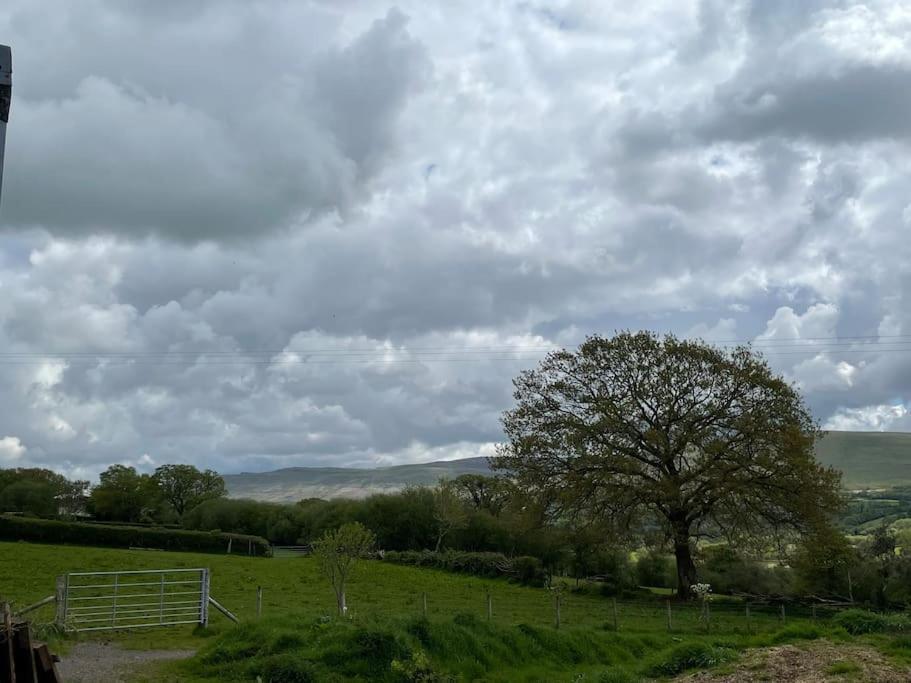 Shepherds Hut - Brecon Beacons Llangadog 外观 照片